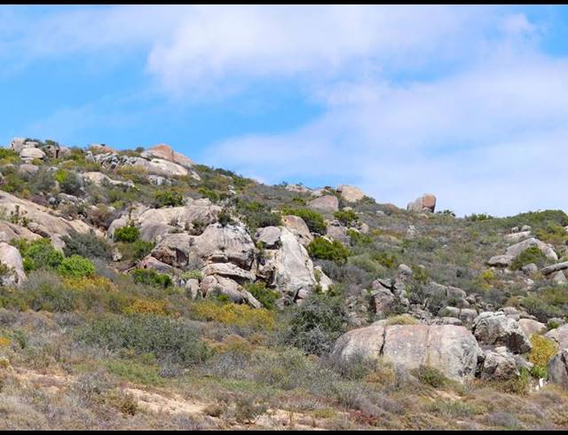 LAND FOR SALE IN ST HELENA VIEWS